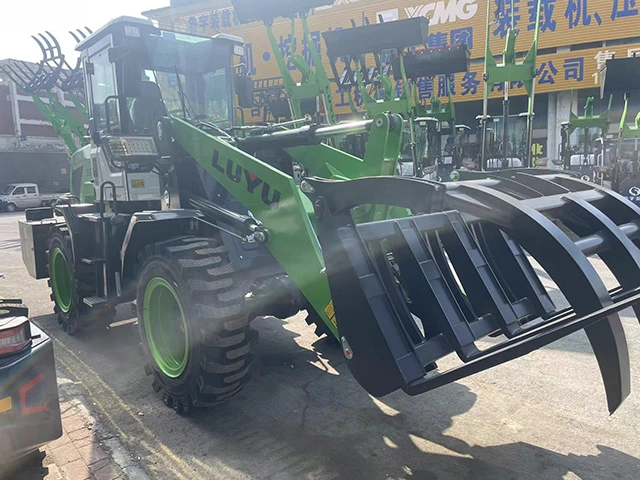 DM_20250104110302_003