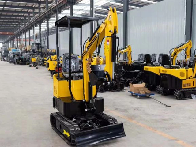 DM_20250104113525_002