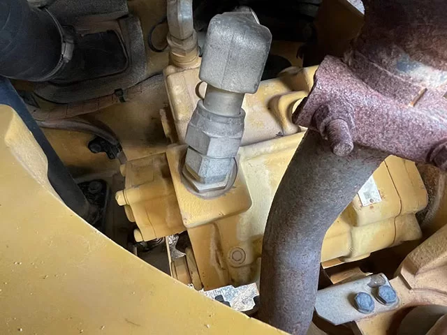 DM_20250109113720_007