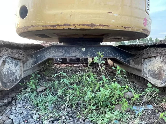 DM_20250109113720_009